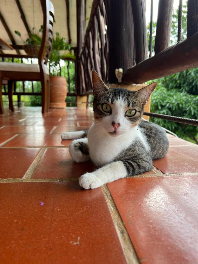 Hostal Villa San Rafael Barichara Ngoại thất bức ảnh